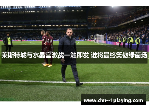 莱斯特城与水晶宫激战一触即发 谁将最终笑傲绿茵场 莱斯特城与水晶宫激战一触即发 谁将最终笑傲绿茵场
